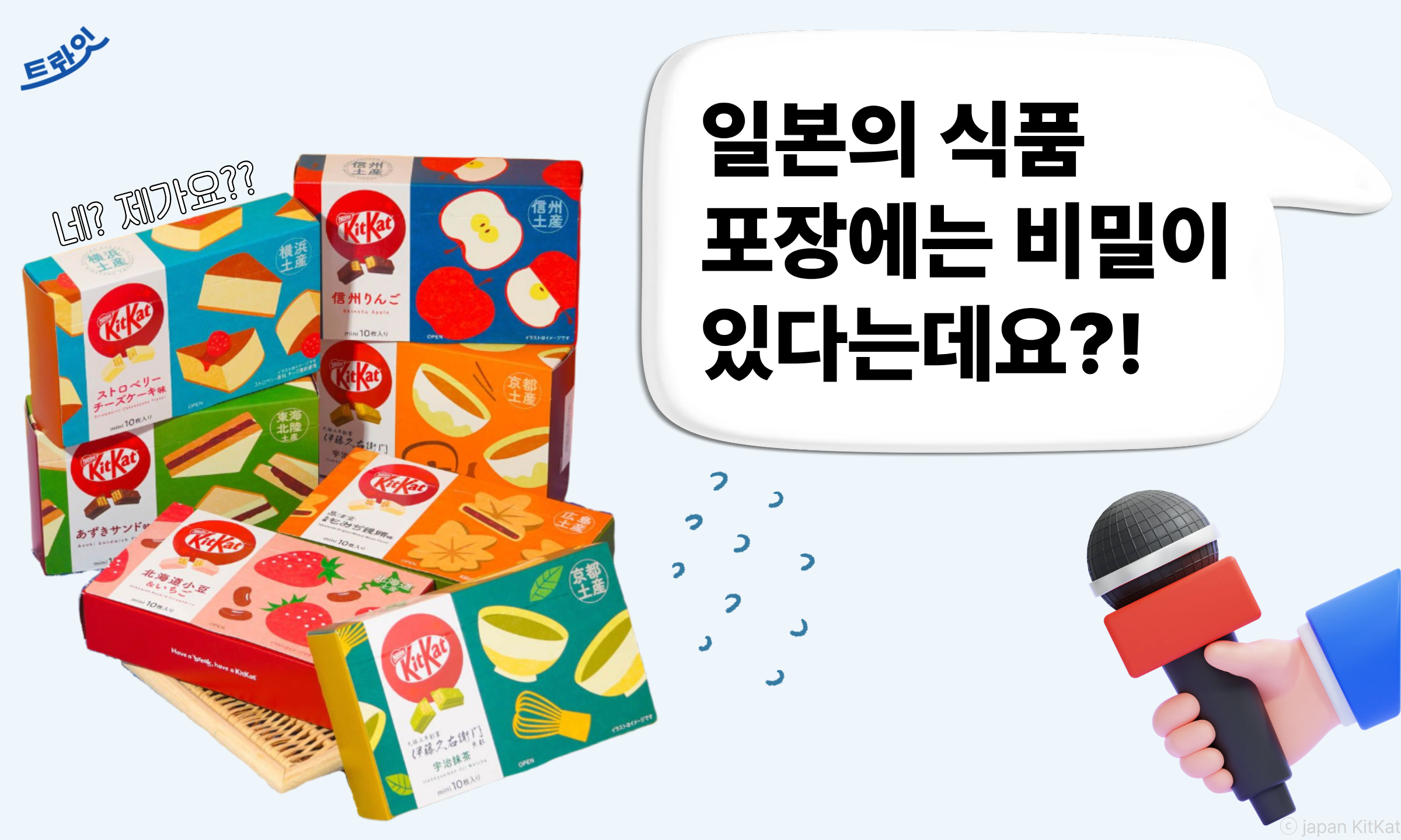 오늘의 인사이트 썸네일